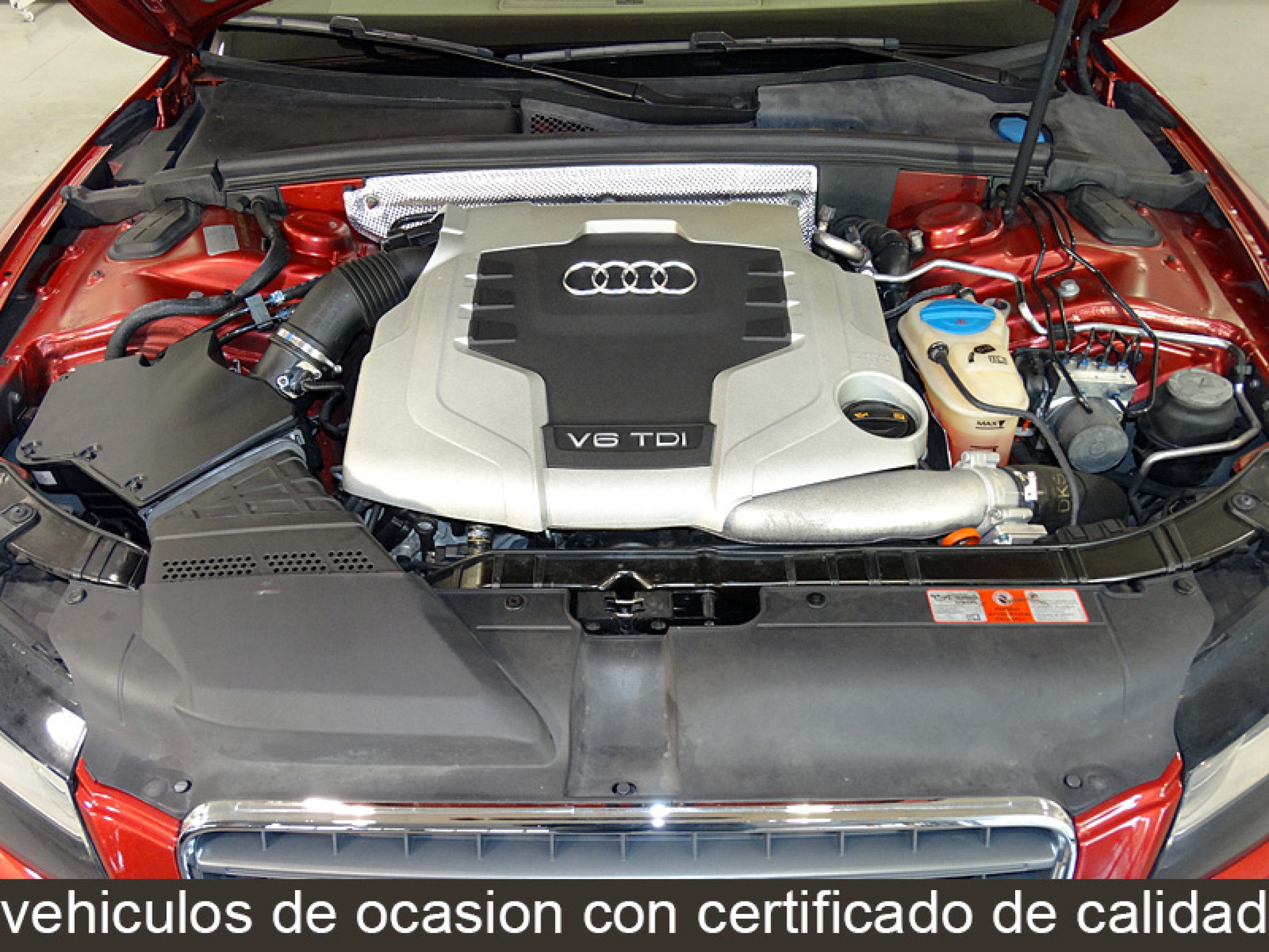 Foto Audi A5 8 Foto Audi A5 8