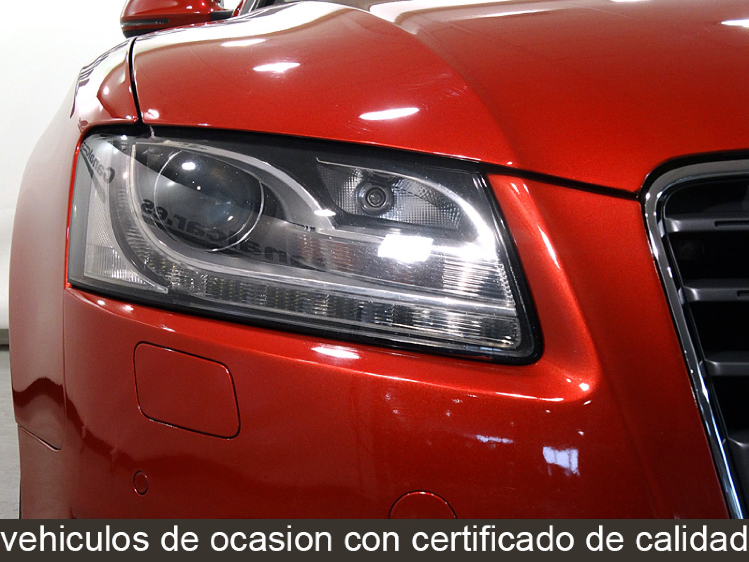 Foto Audi A5 12 Foto Audi A5 12