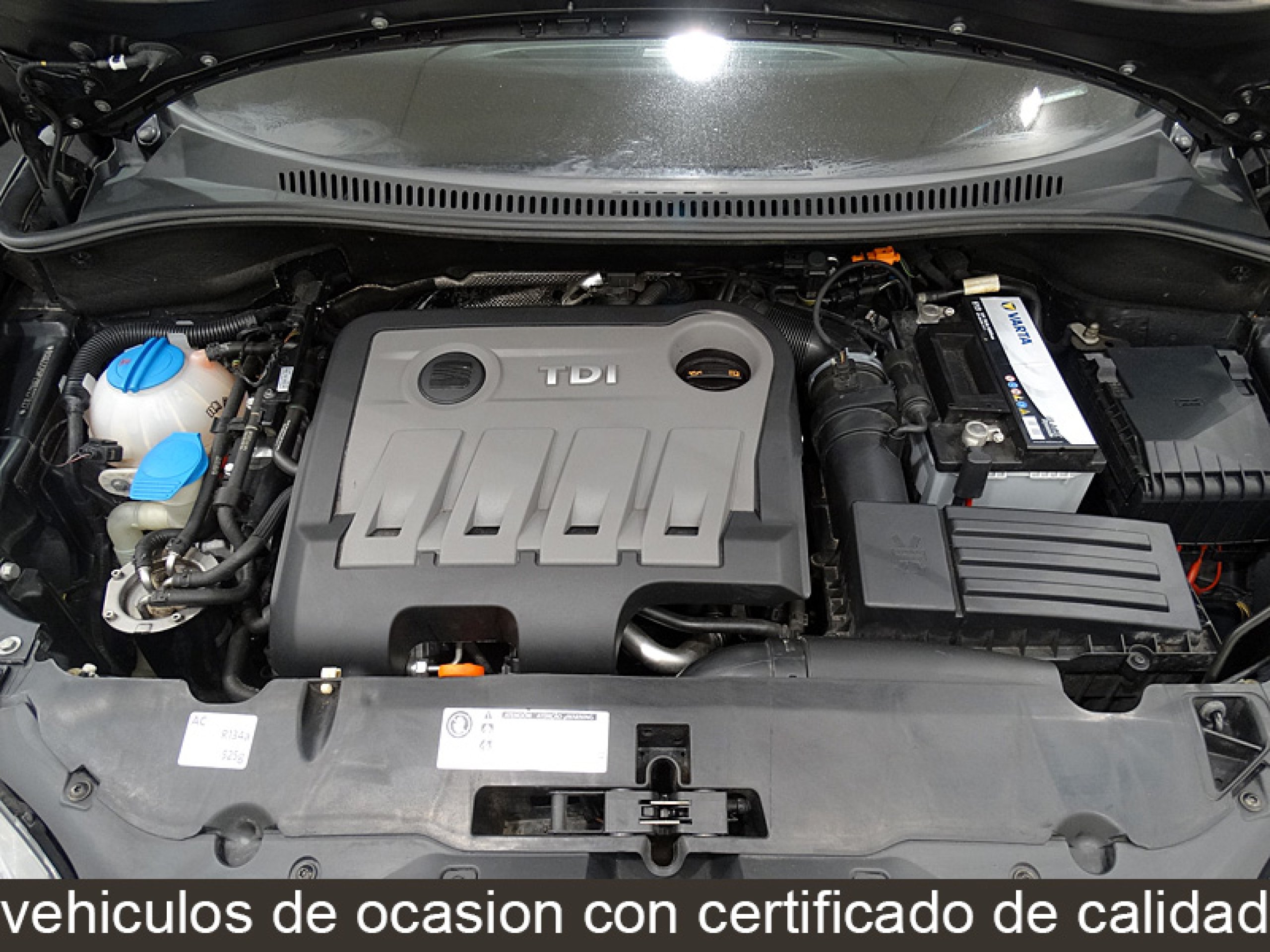 Foto Seat Altea XL 17