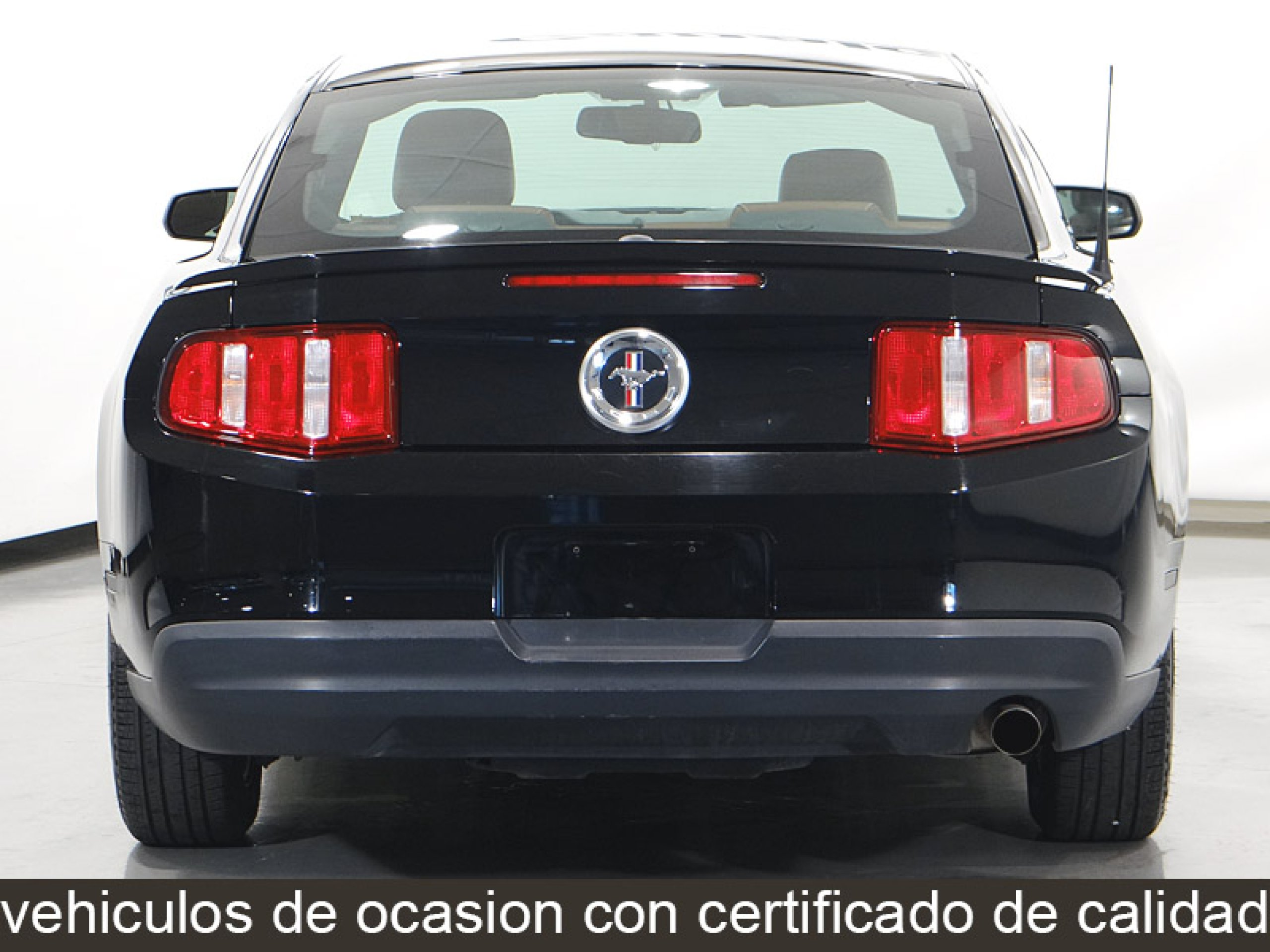 Foto Ford Mustang 6 Foto Ford Mustang 6