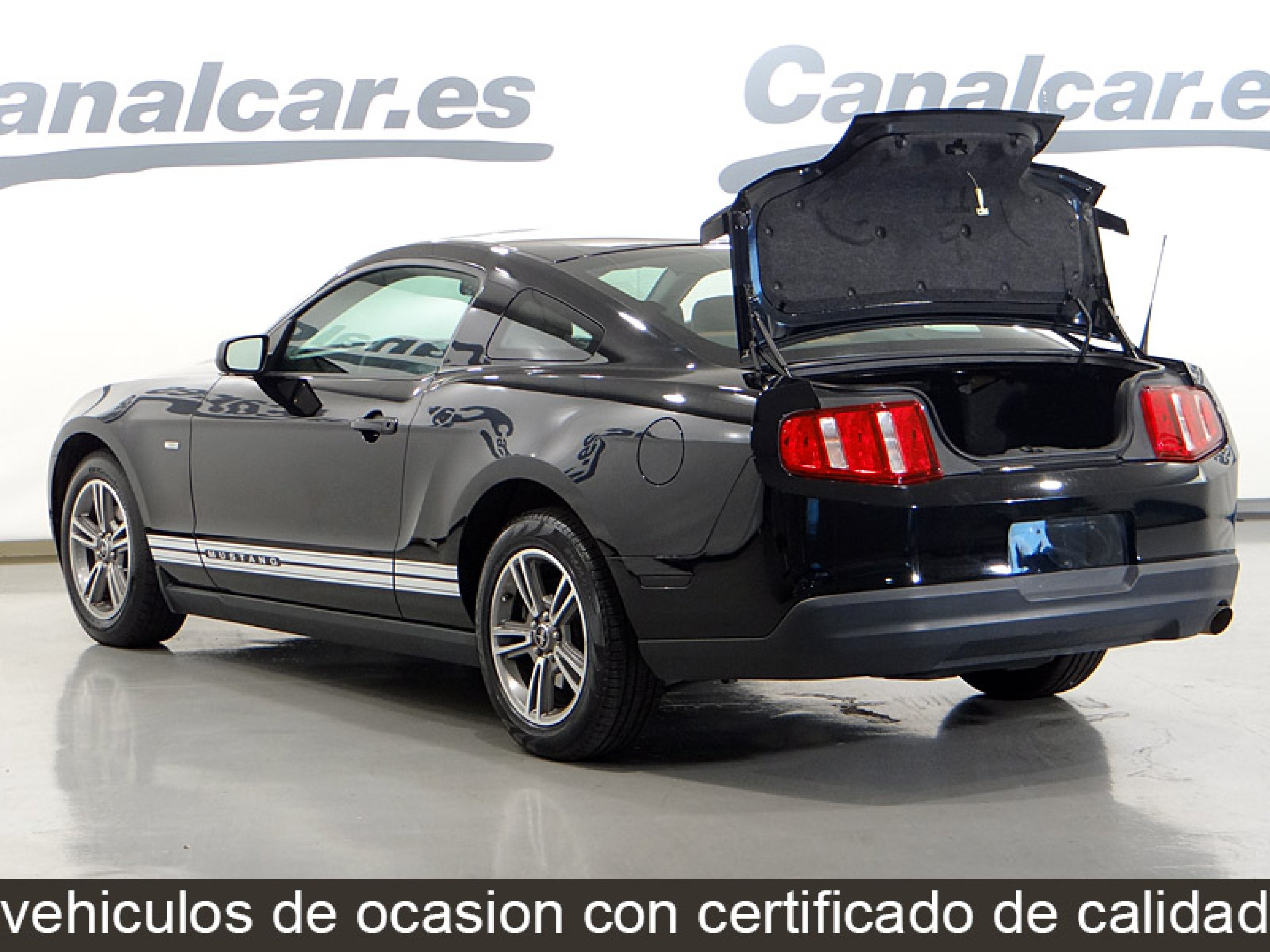 Foto Ford Mustang 8 Foto Ford Mustang 8
