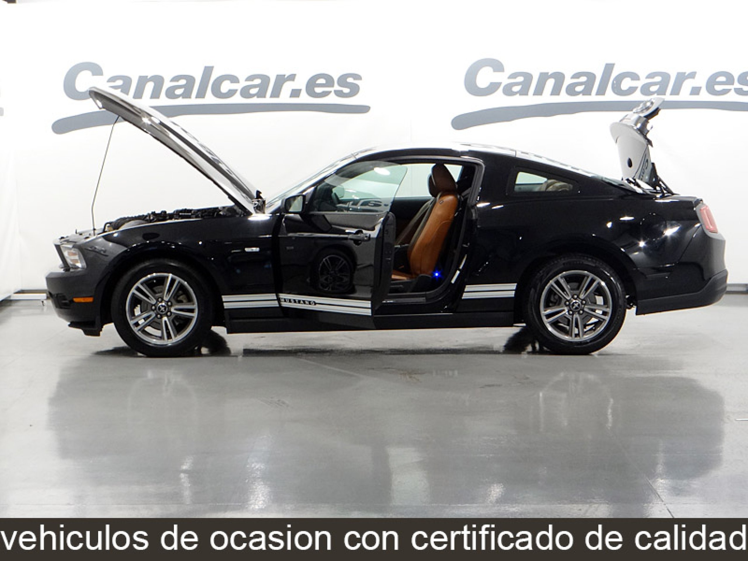 Foto Ford Mustang 11 Foto Ford Mustang 11