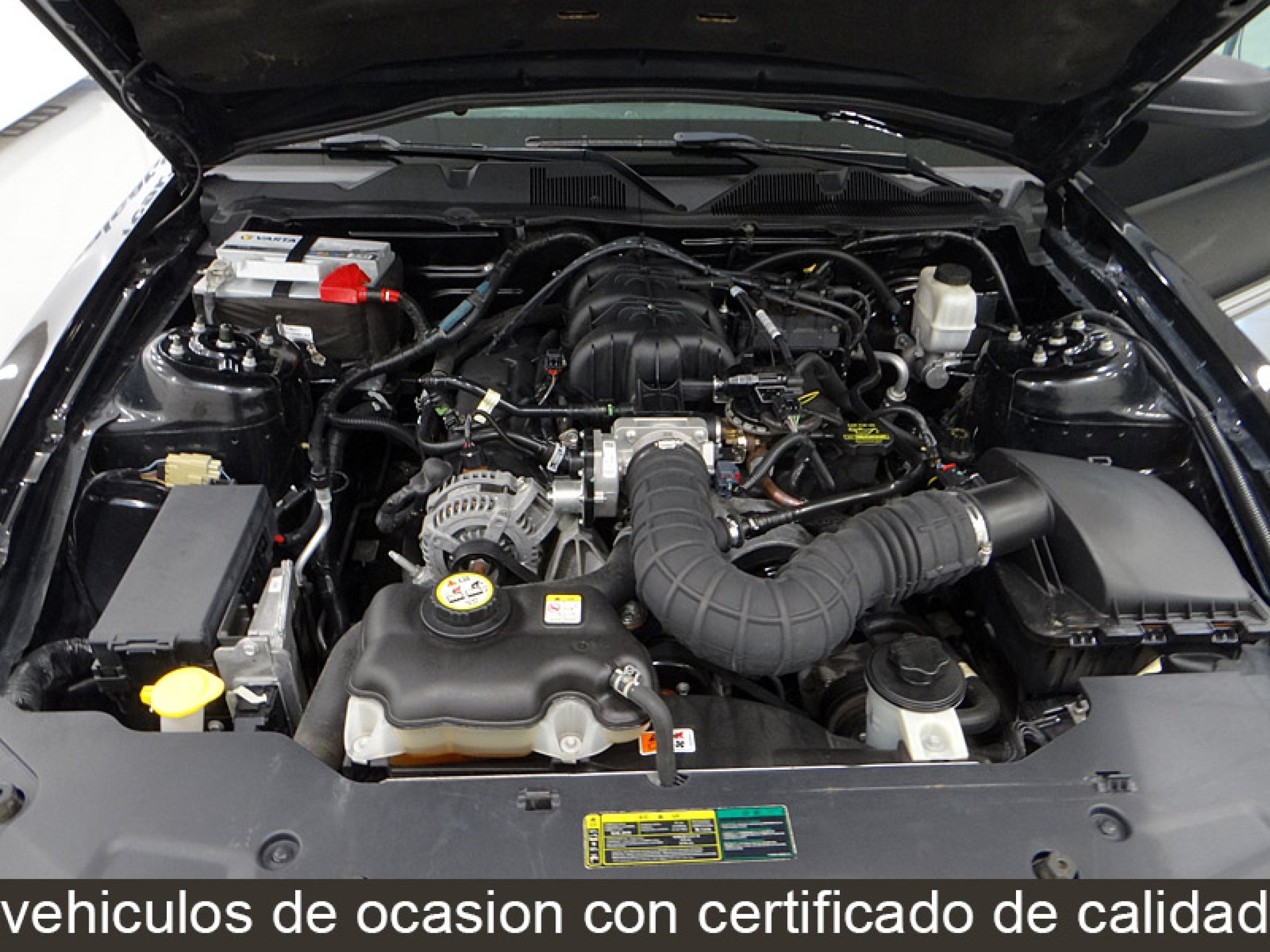Foto Ford Mustang 12 Foto Ford Mustang 12