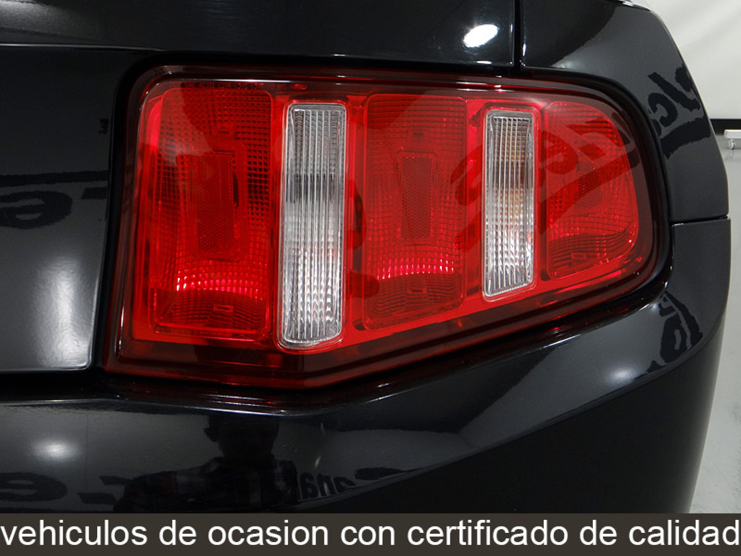 Foto Ford Mustang 15 Foto Ford Mustang 15
