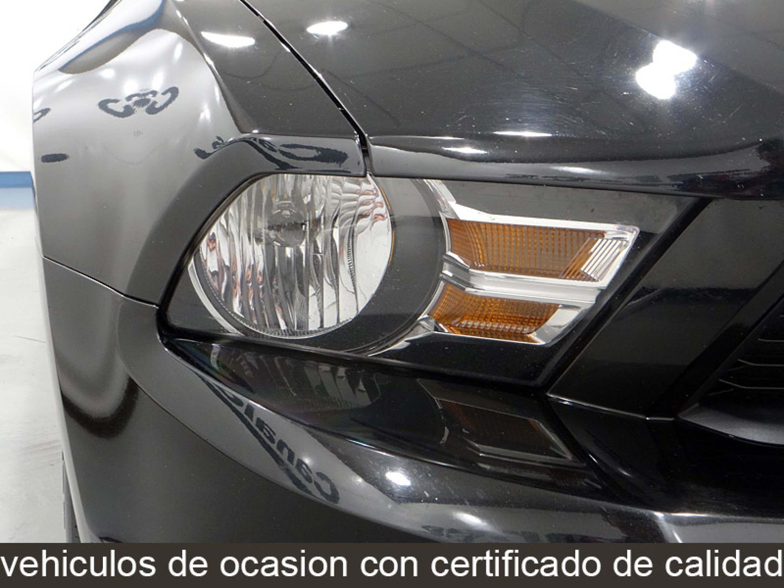 Foto Ford Mustang 16 Foto Ford Mustang 16