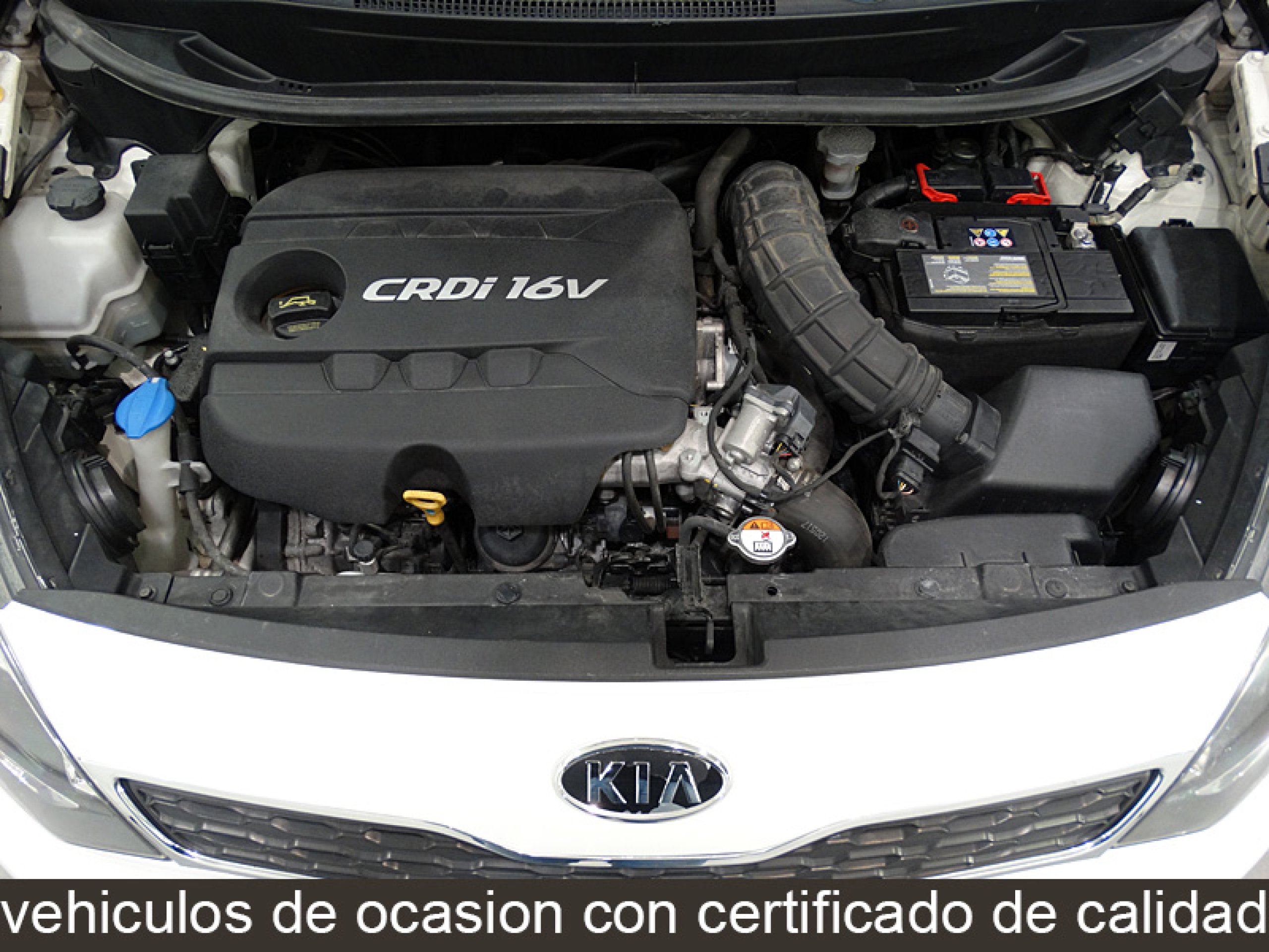 Foto Kia Rio 11