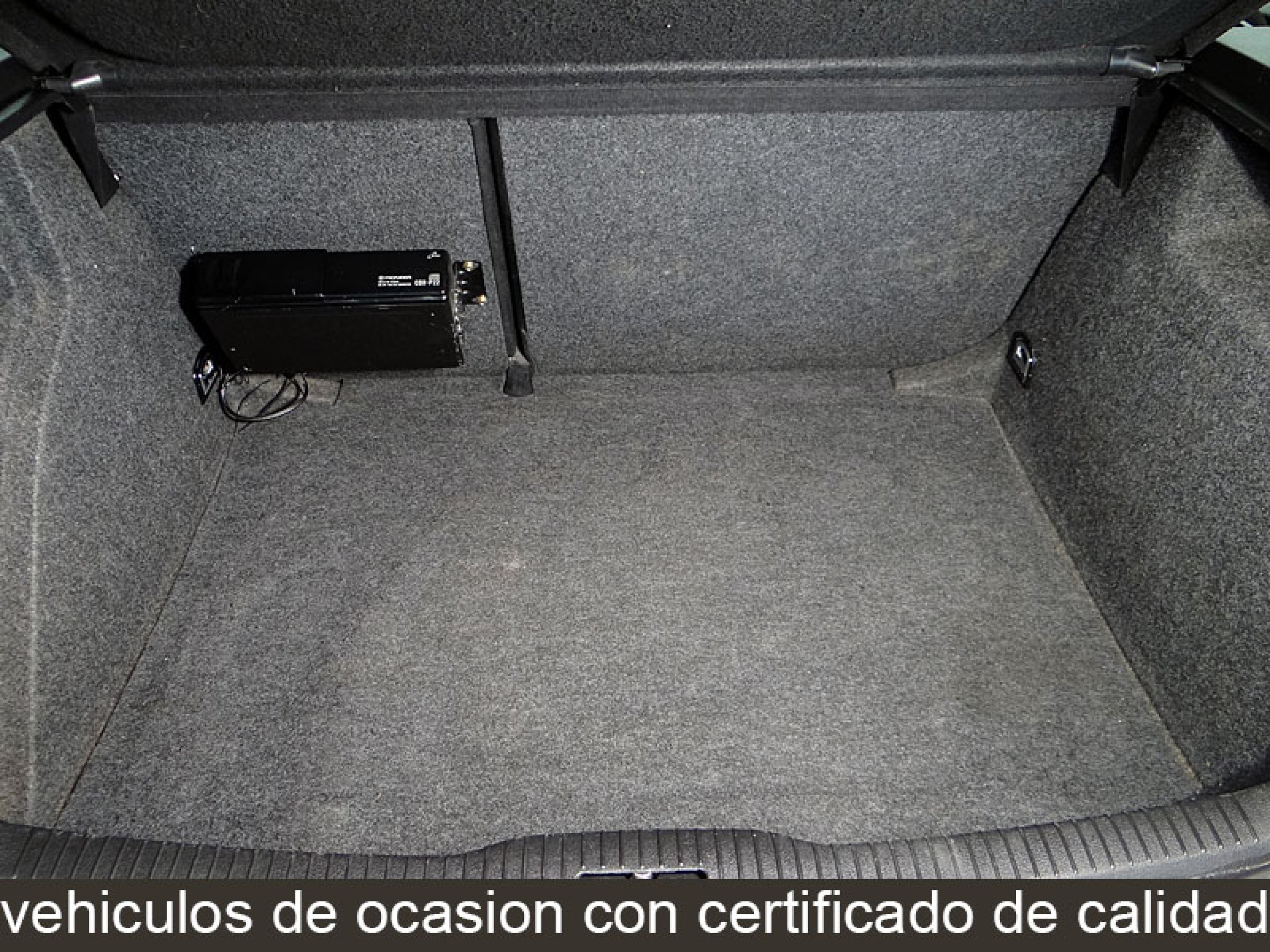 Foto Volkswagen Golf 13