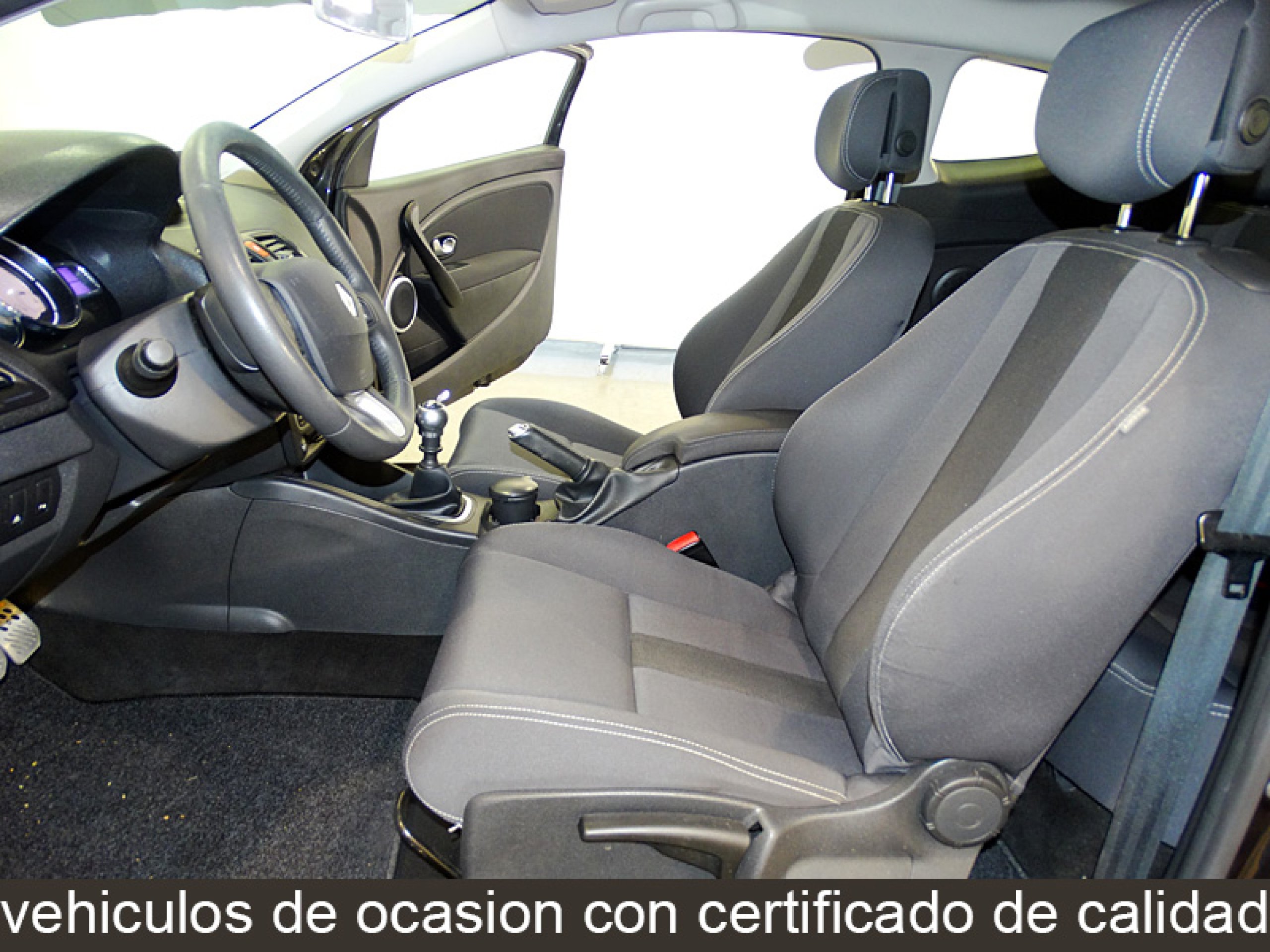 Foto Renault Megane 19
