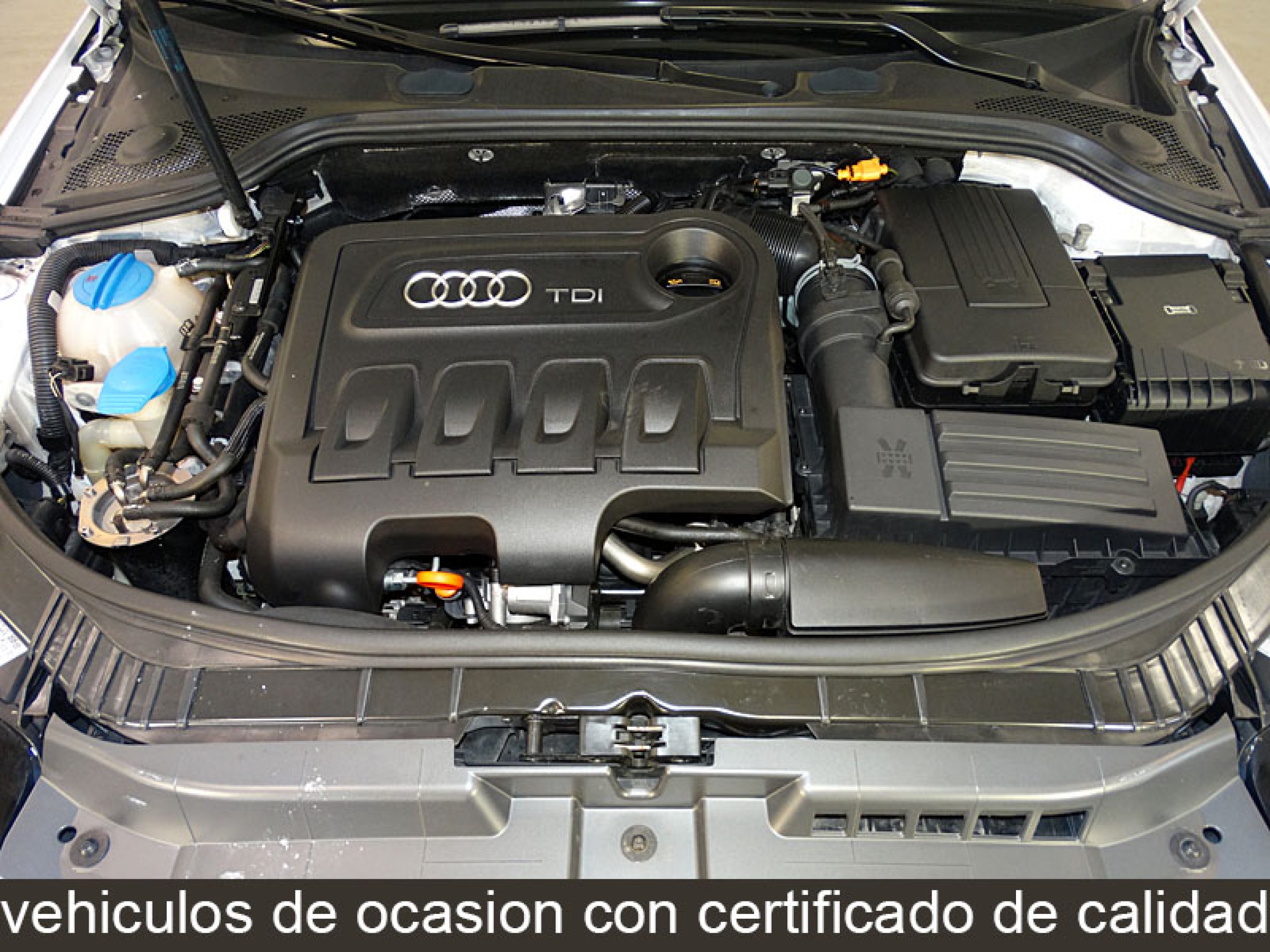 Foto Audi A3 8