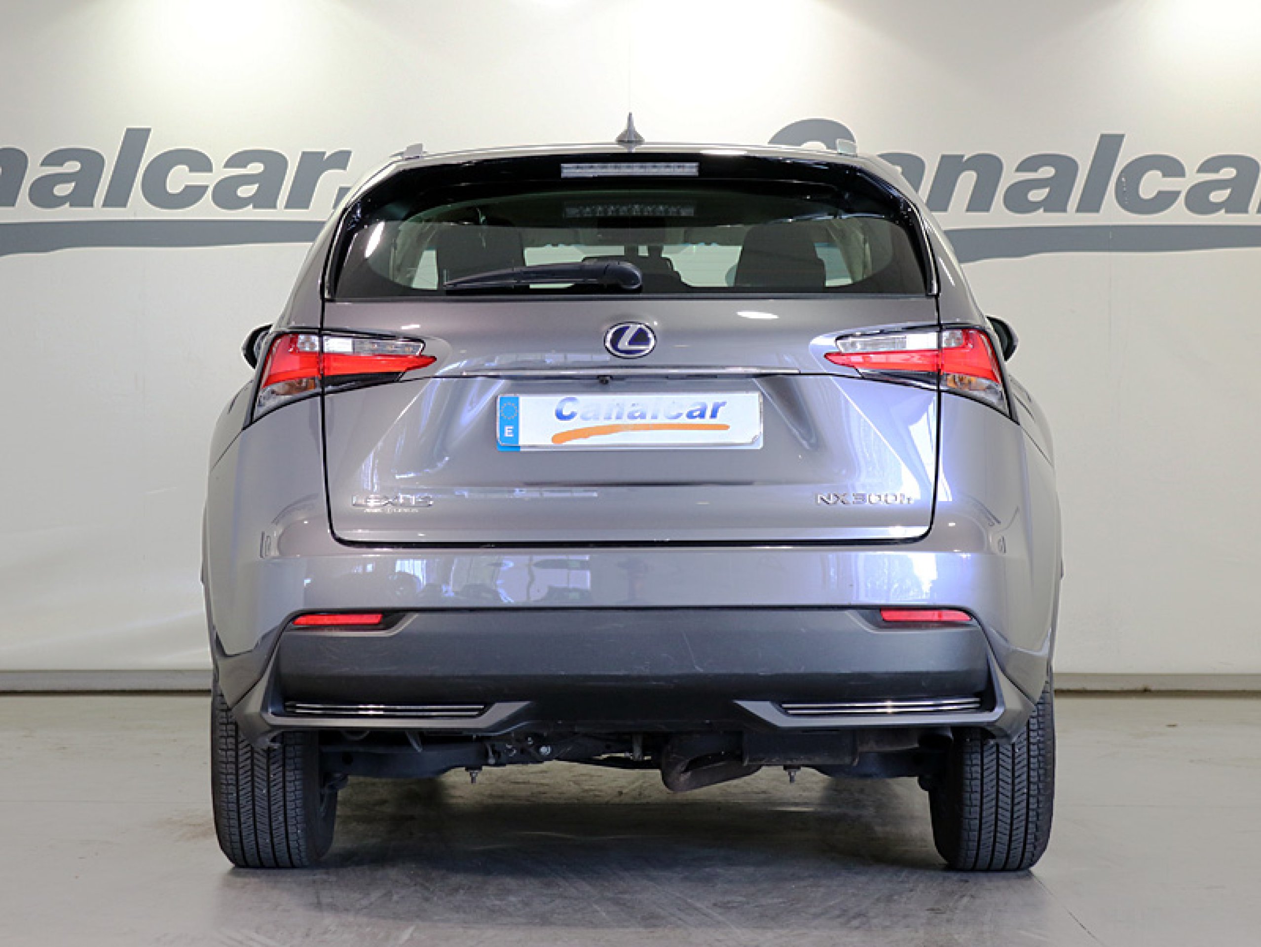 Foto Lexus NX 6