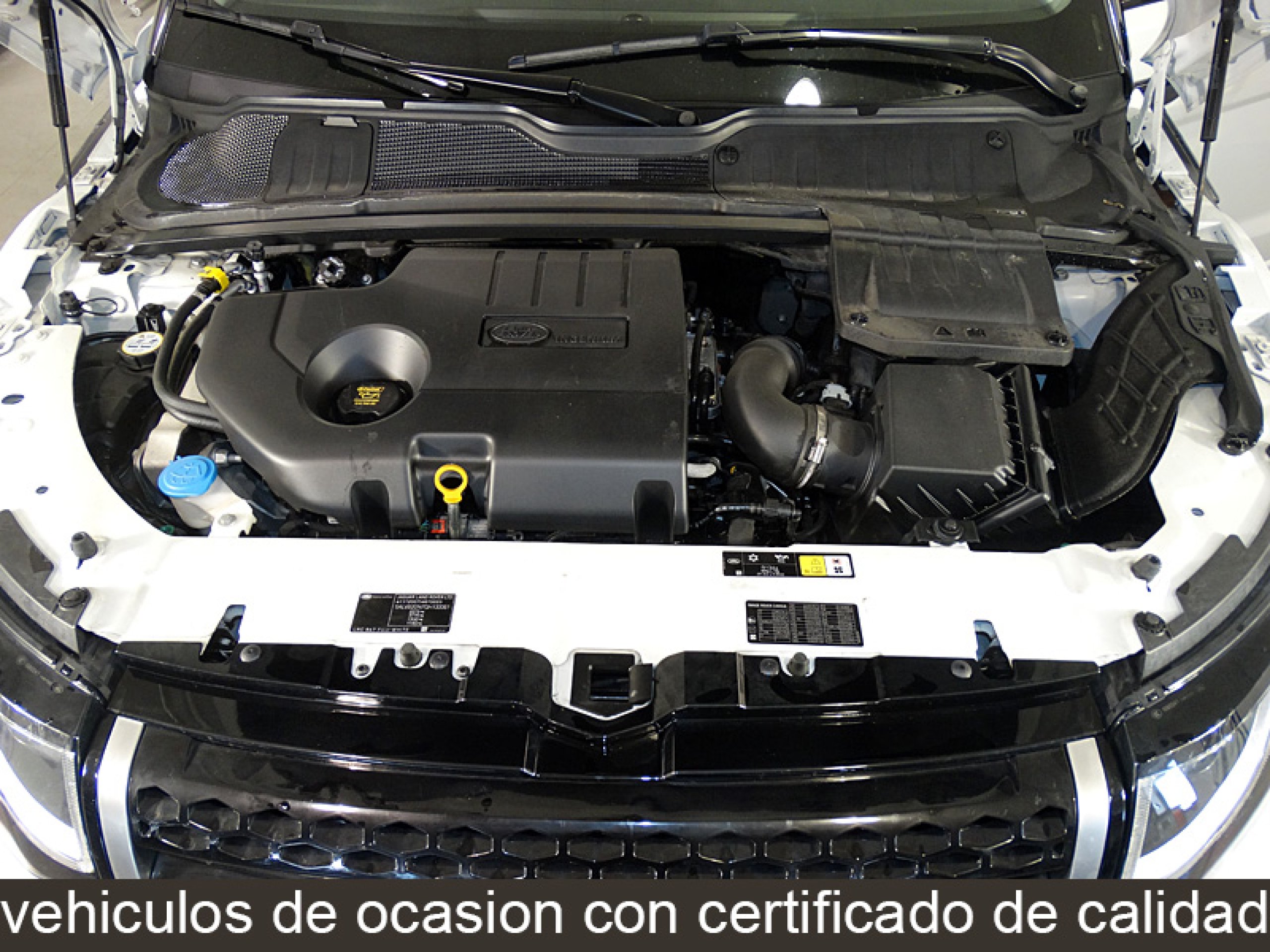 Foto Land Rover Range Rover Evoque 9