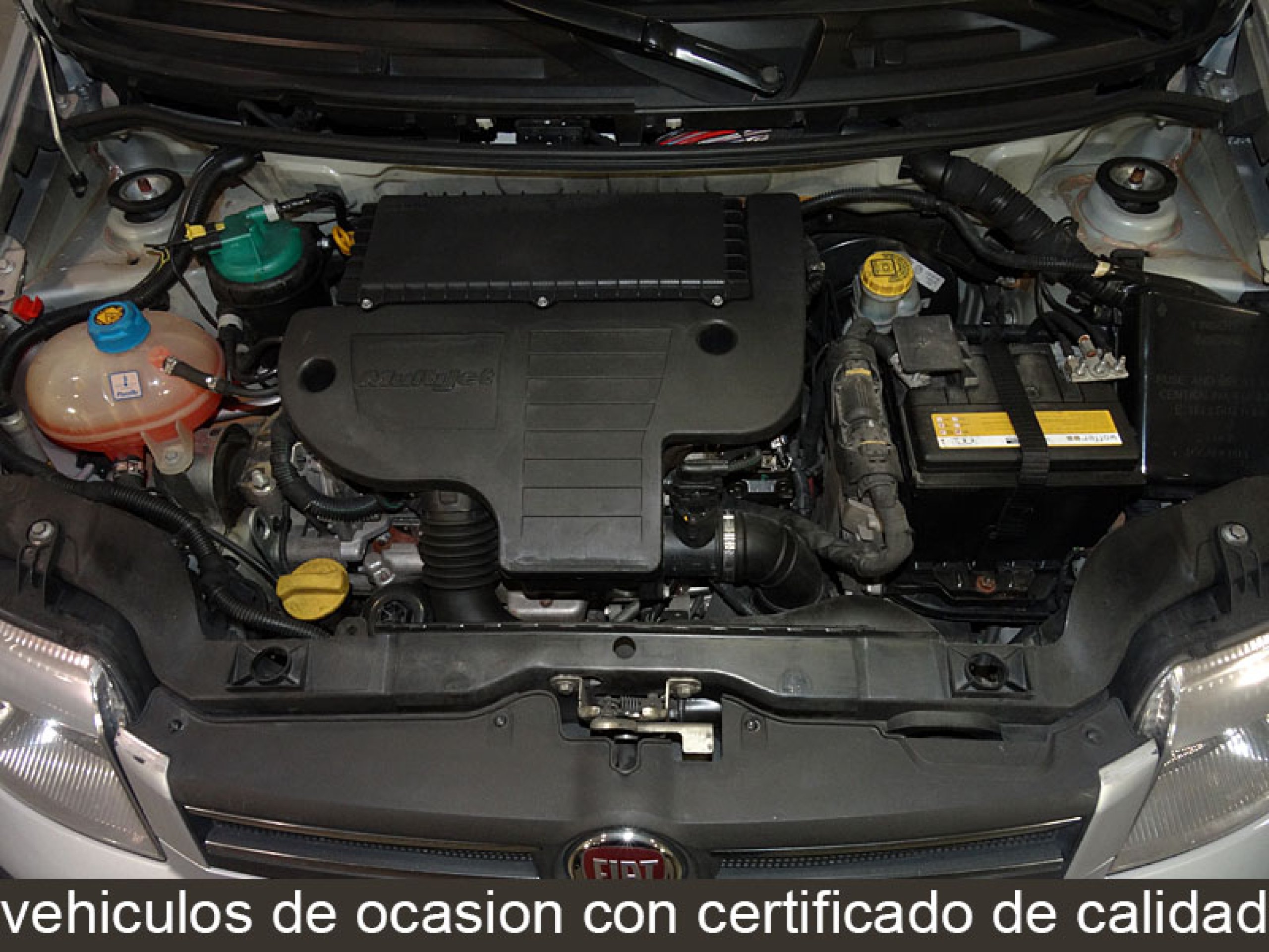 Foto Fiat Panda 8 Foto Fiat Panda 8
