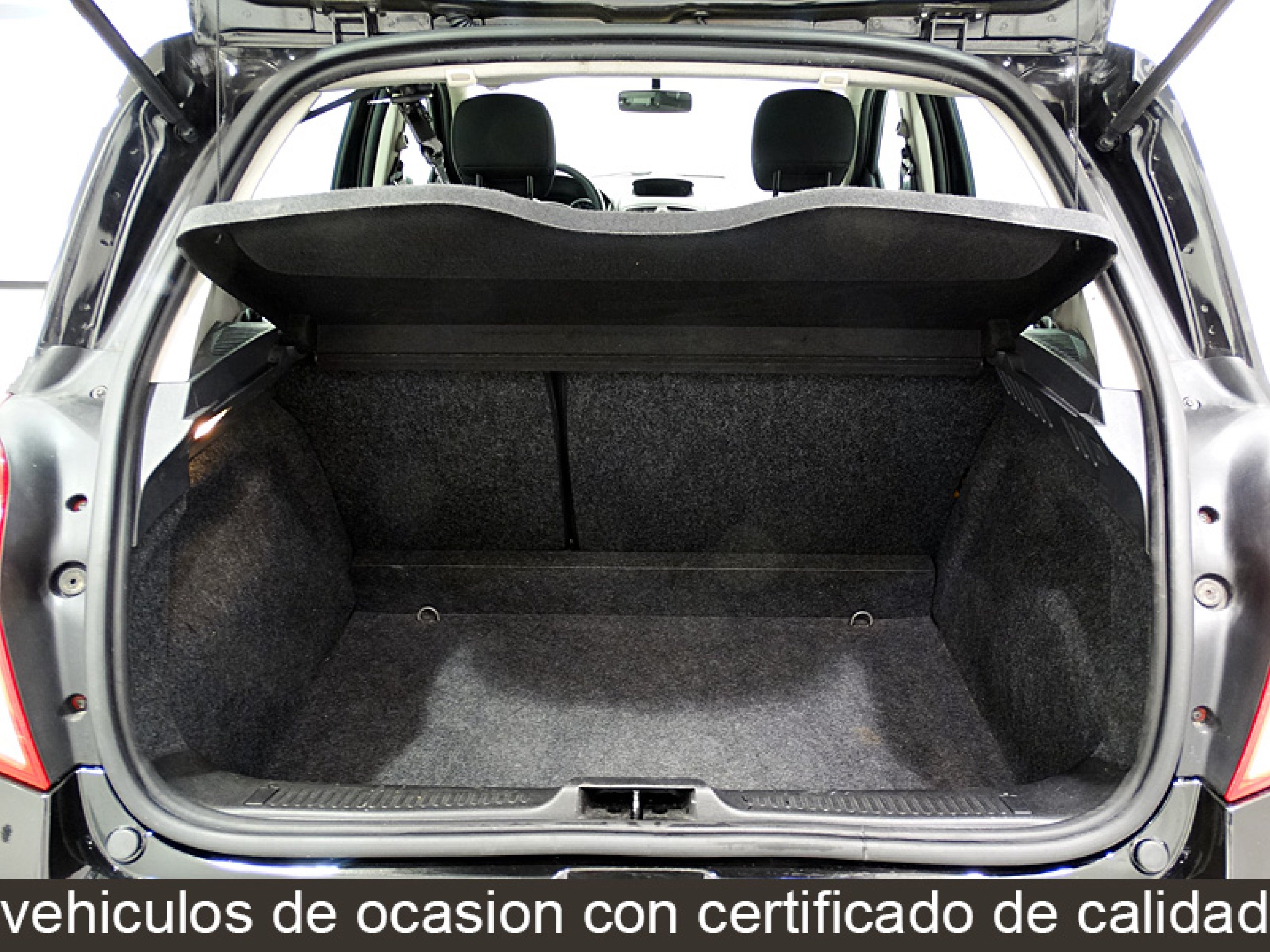 Foto Renault Clio 15