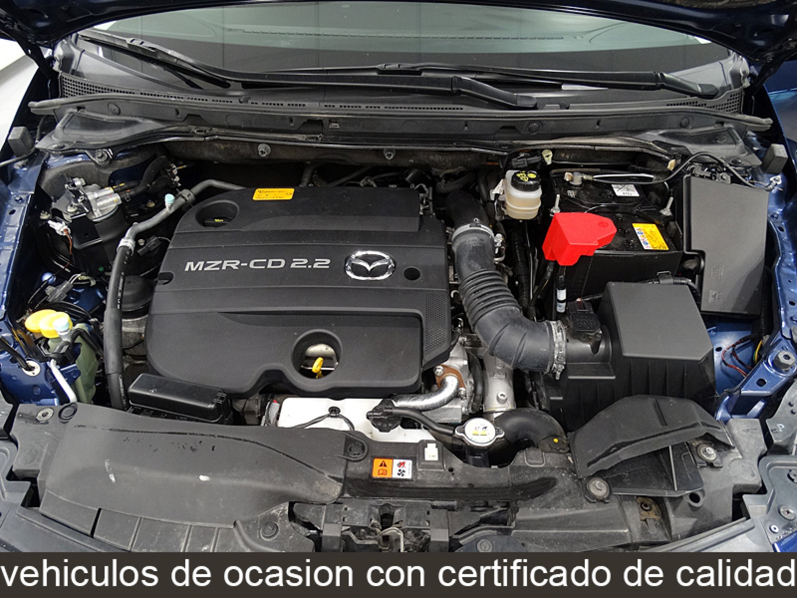 Foto Mazda CX-7 13 Foto Mazda CX-7 13