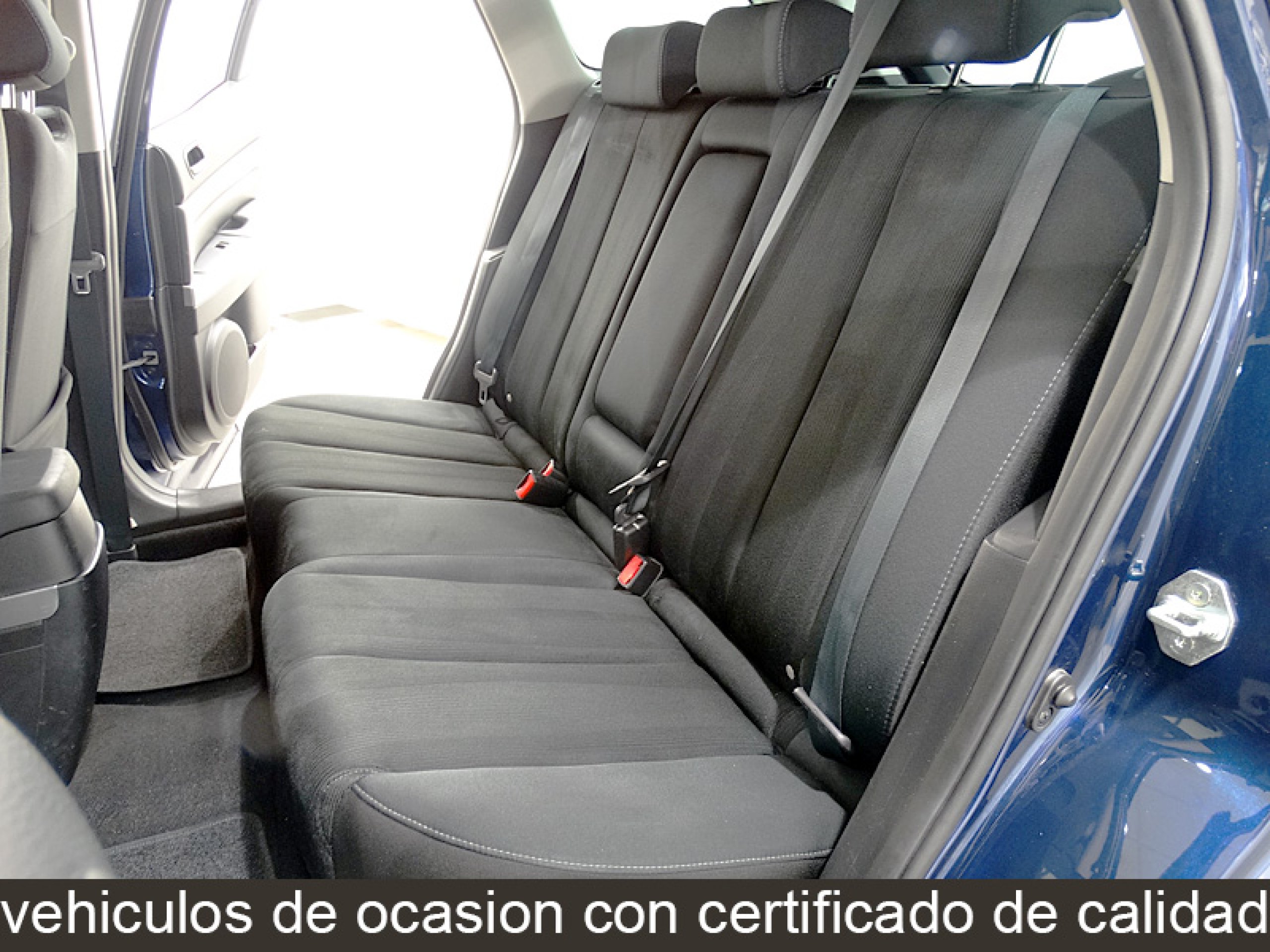 Foto Mazda CX-7 23 Foto Mazda CX-7 23