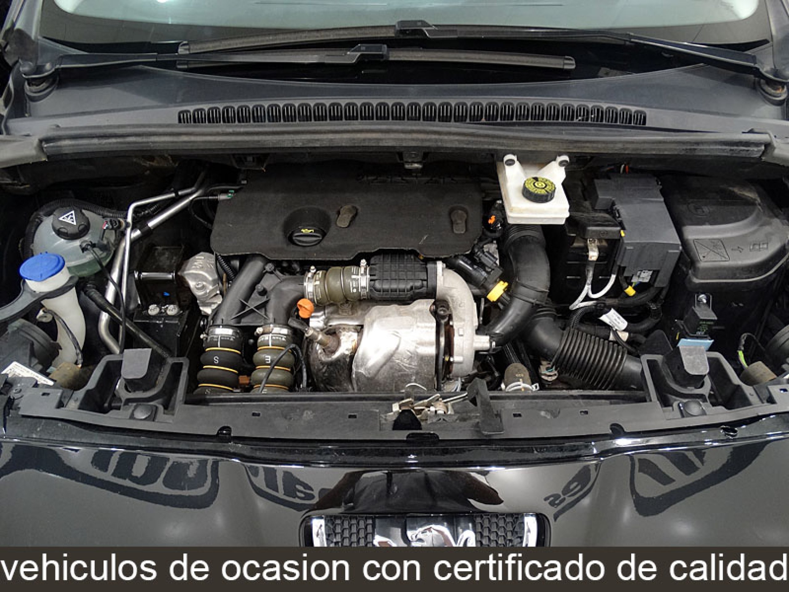 Foto Peugeot 5008 16