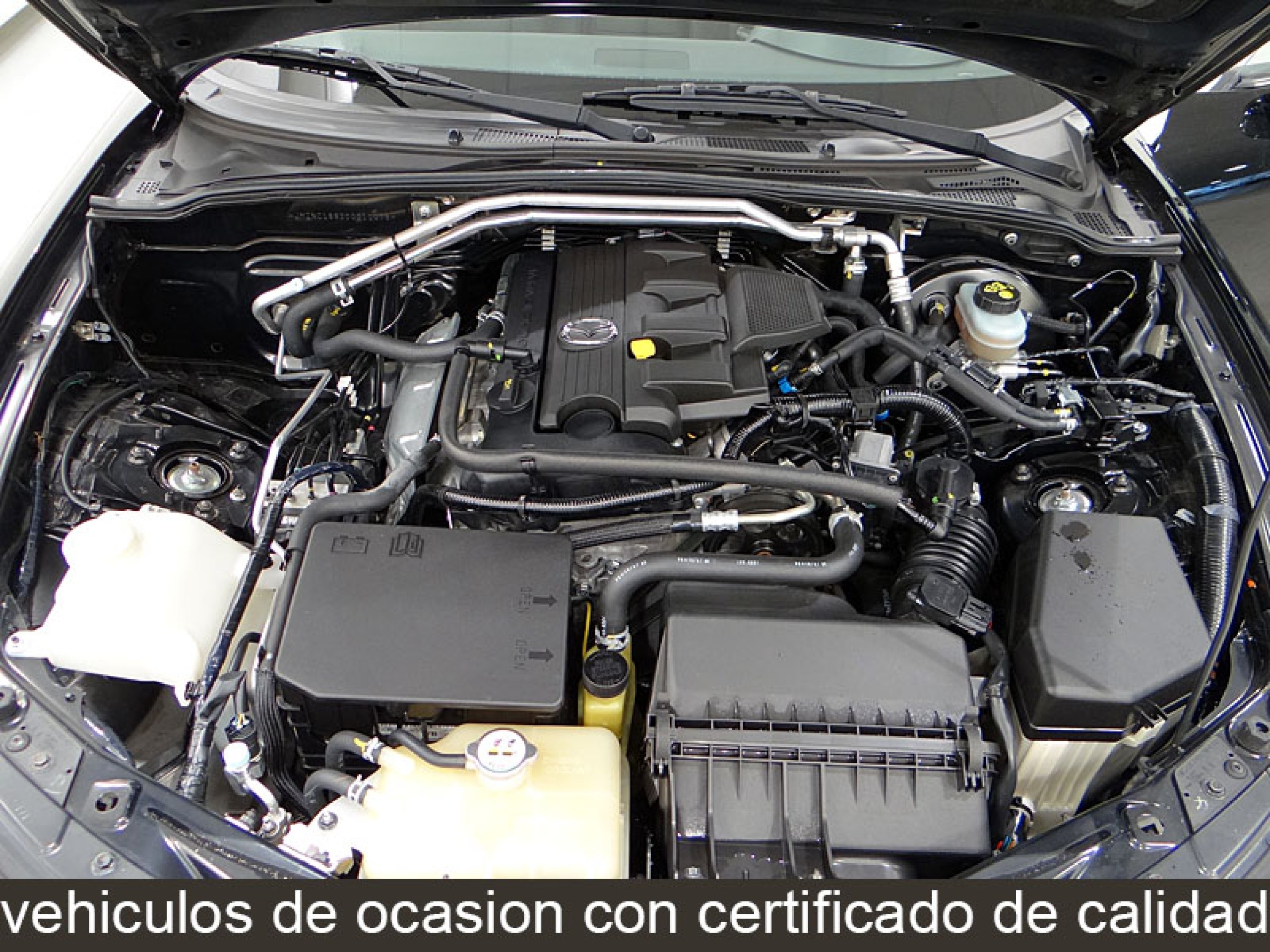 Foto Mazda MX-5 13