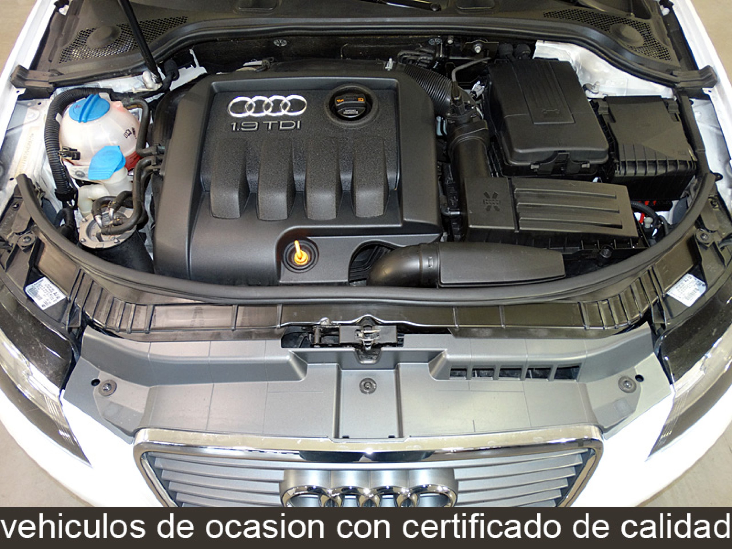 Foto Audi A3 8