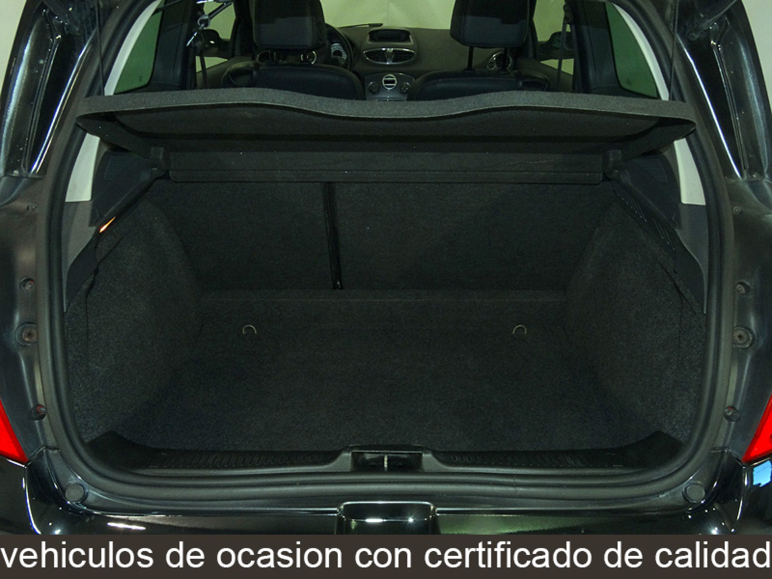 Foto Renault Clio 10