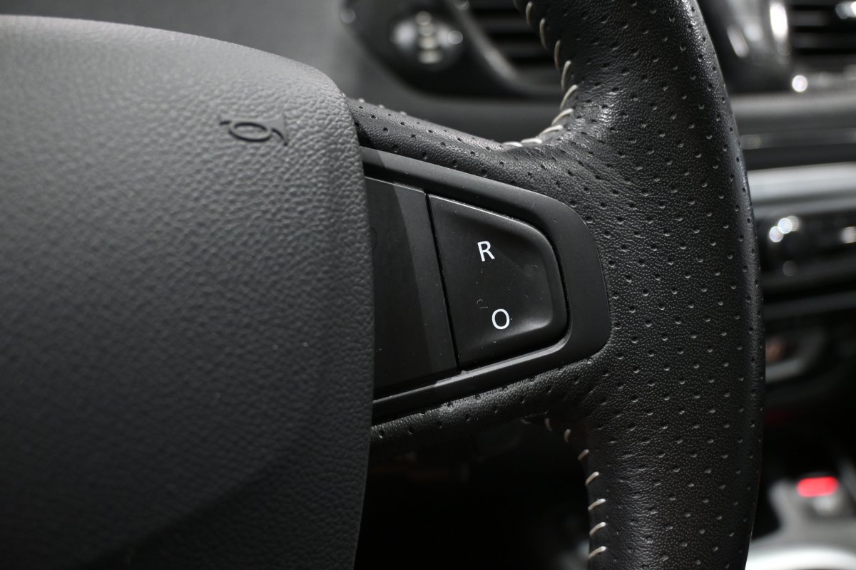 Foto Renault Grand Scenic 25