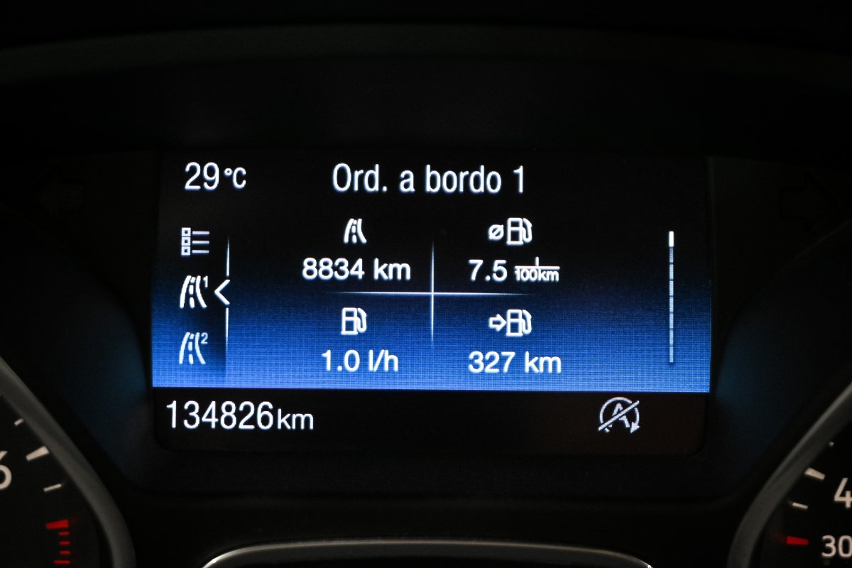 Foto Ford Grand 13