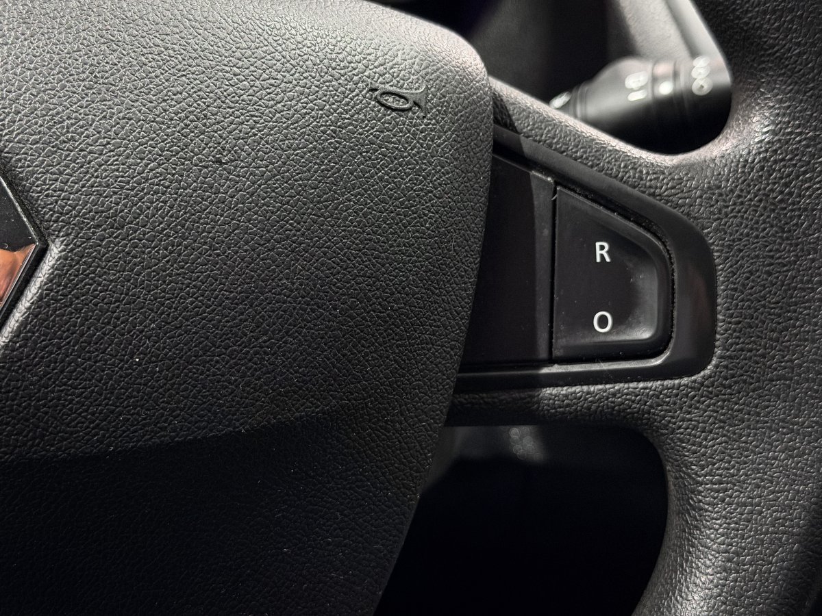 Foto Renault Megane 19