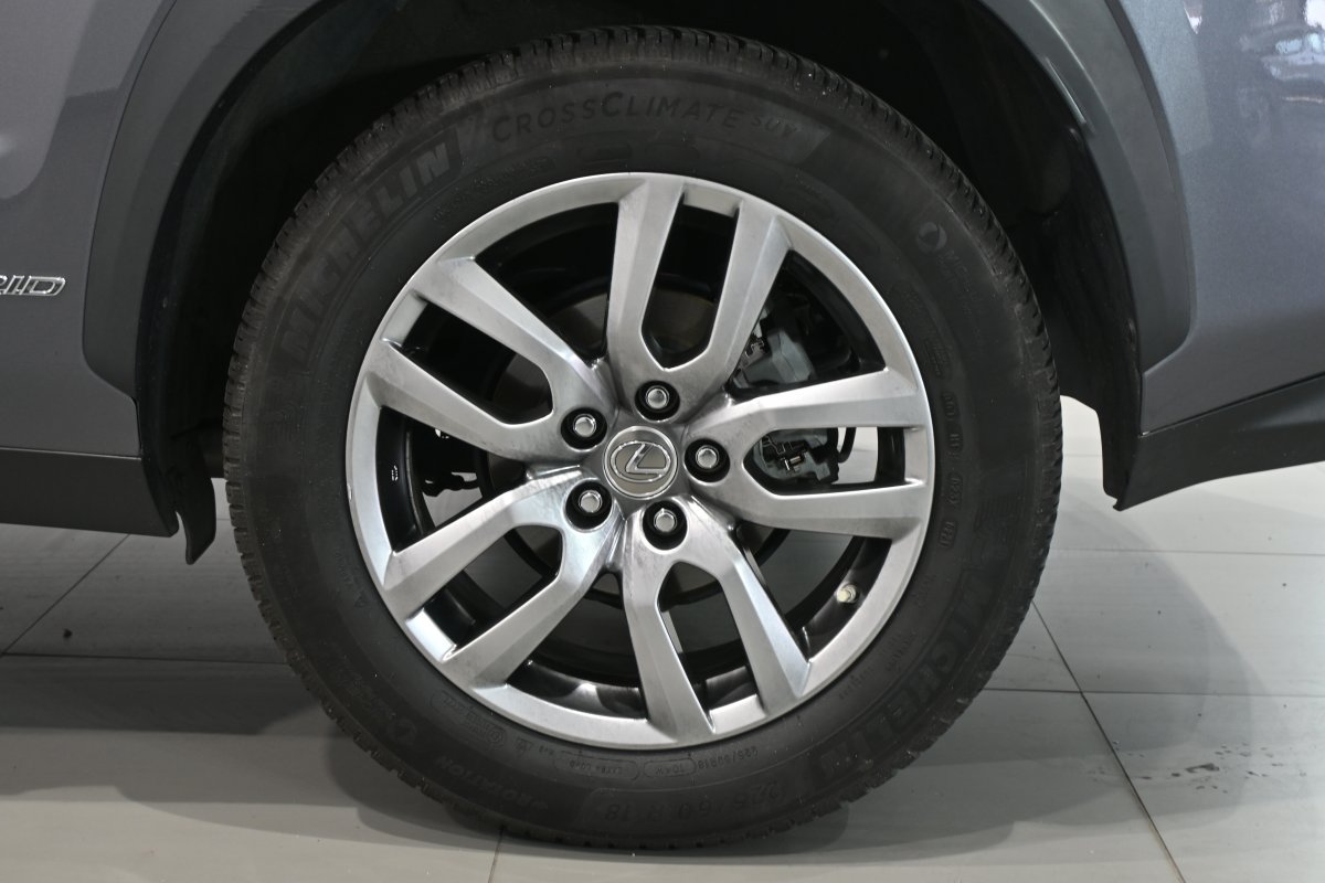 Foto Lexus NX 33