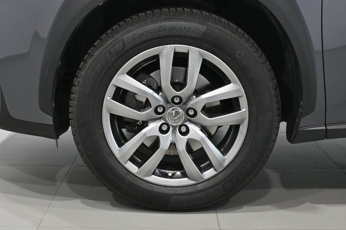 Foto Lexus NX 32
