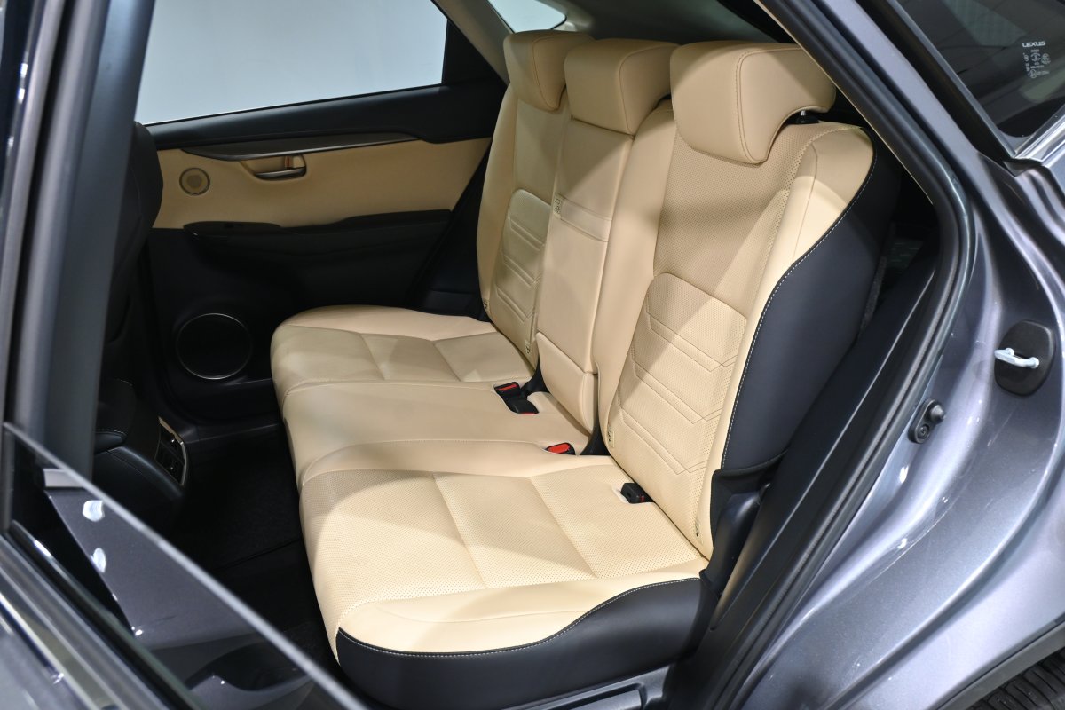 Foto Lexus NX 12