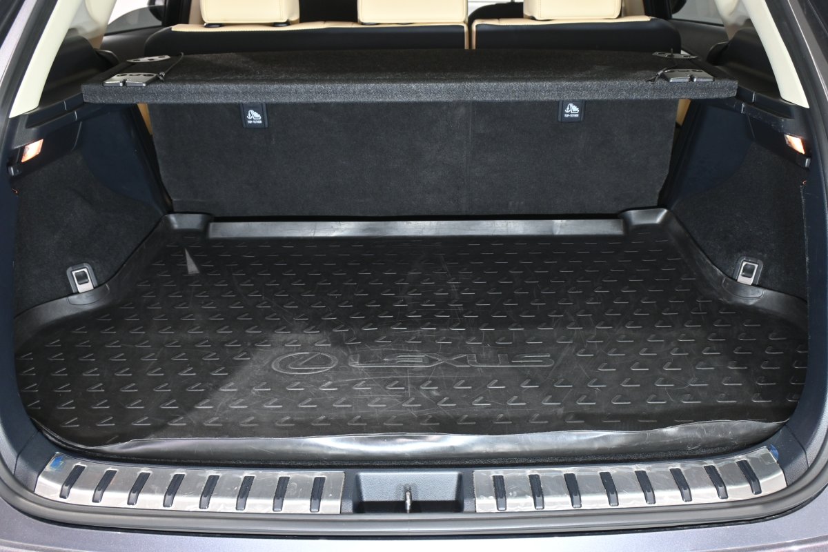 Foto Lexus NX 8