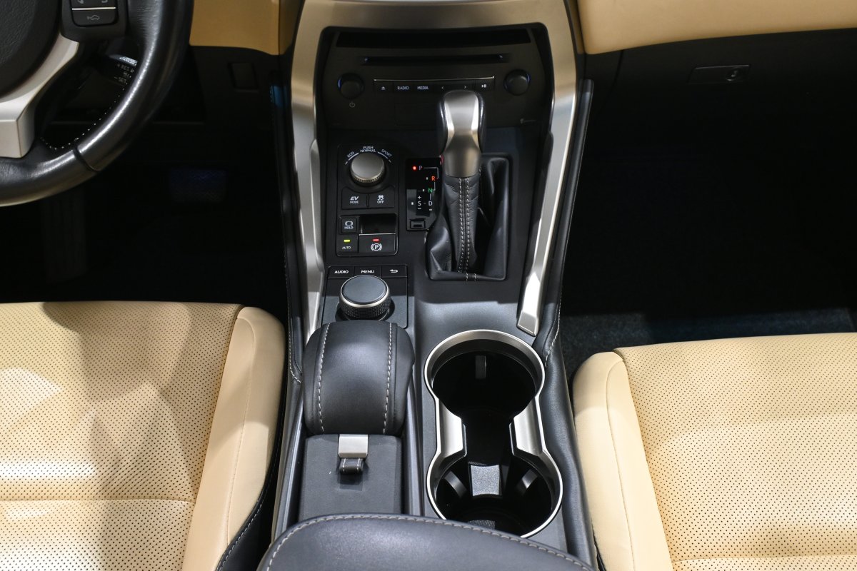 Foto Lexus NX 21