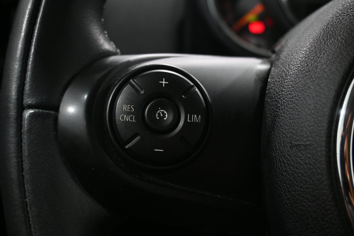 Foto Mini Countryman 22