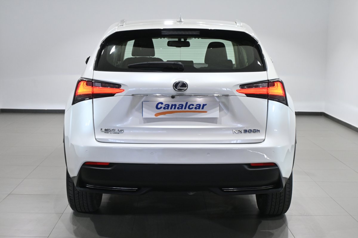 Foto Lexus NX 5