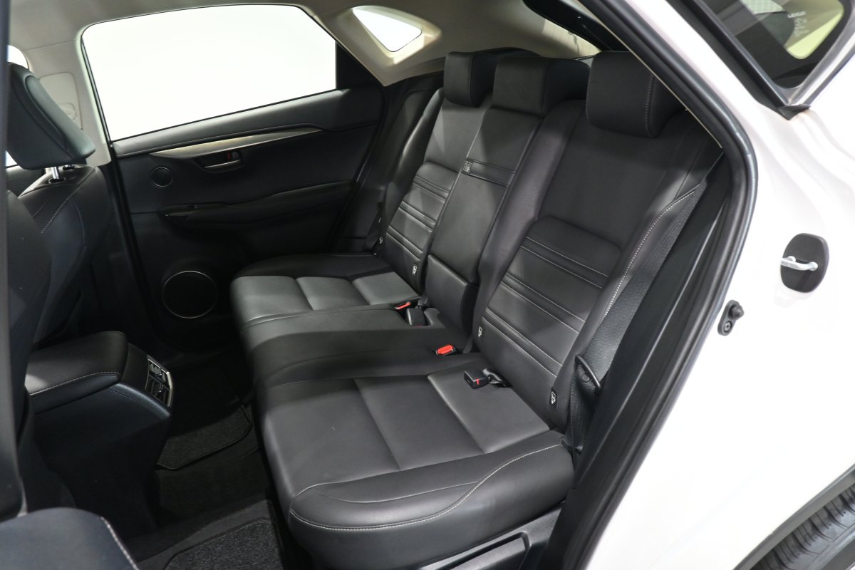 Foto Lexus NX 11
