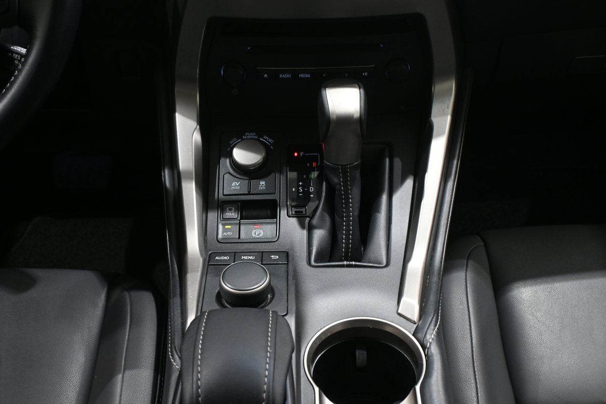 Foto Lexus NX 21