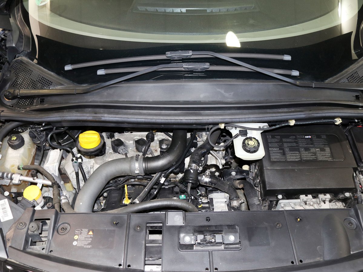 Foto Renault Scenic 7
