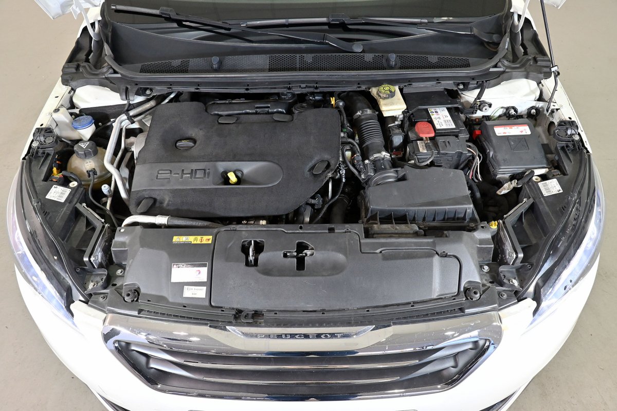 Foto Peugeot 308 7
