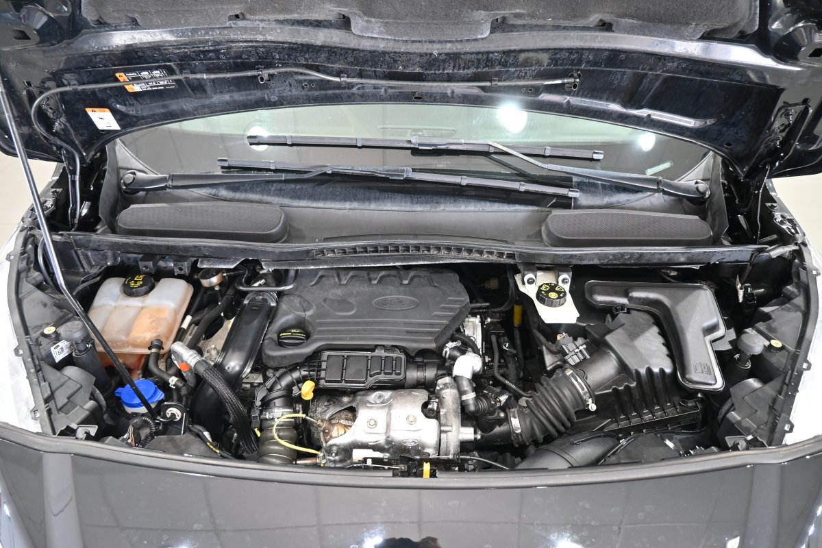 Foto Ford Grand 7