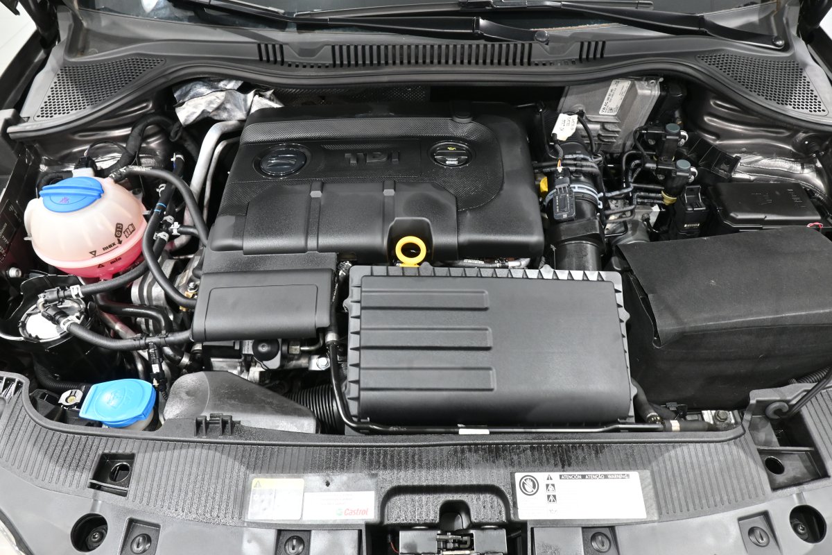 Foto Seat Ibiza 7