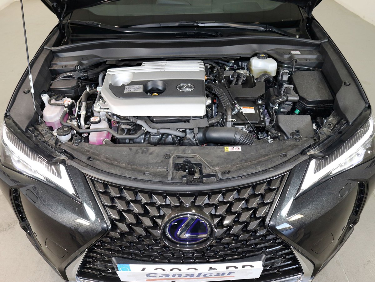 Foto Lexus UX 250h 7