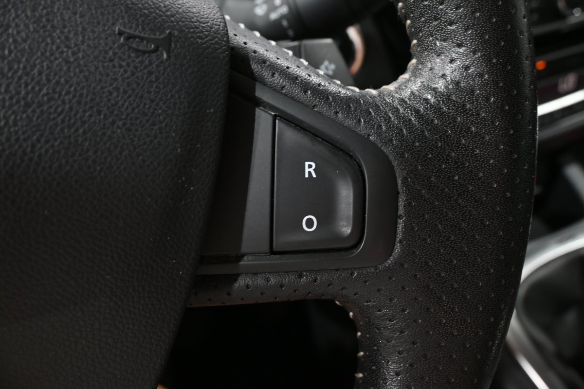Foto Renault Grand 25