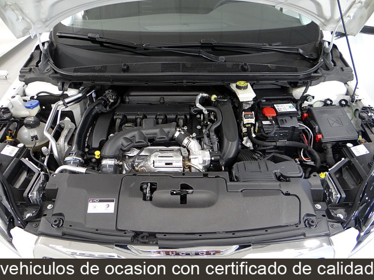 Foto Peugeot 308 18