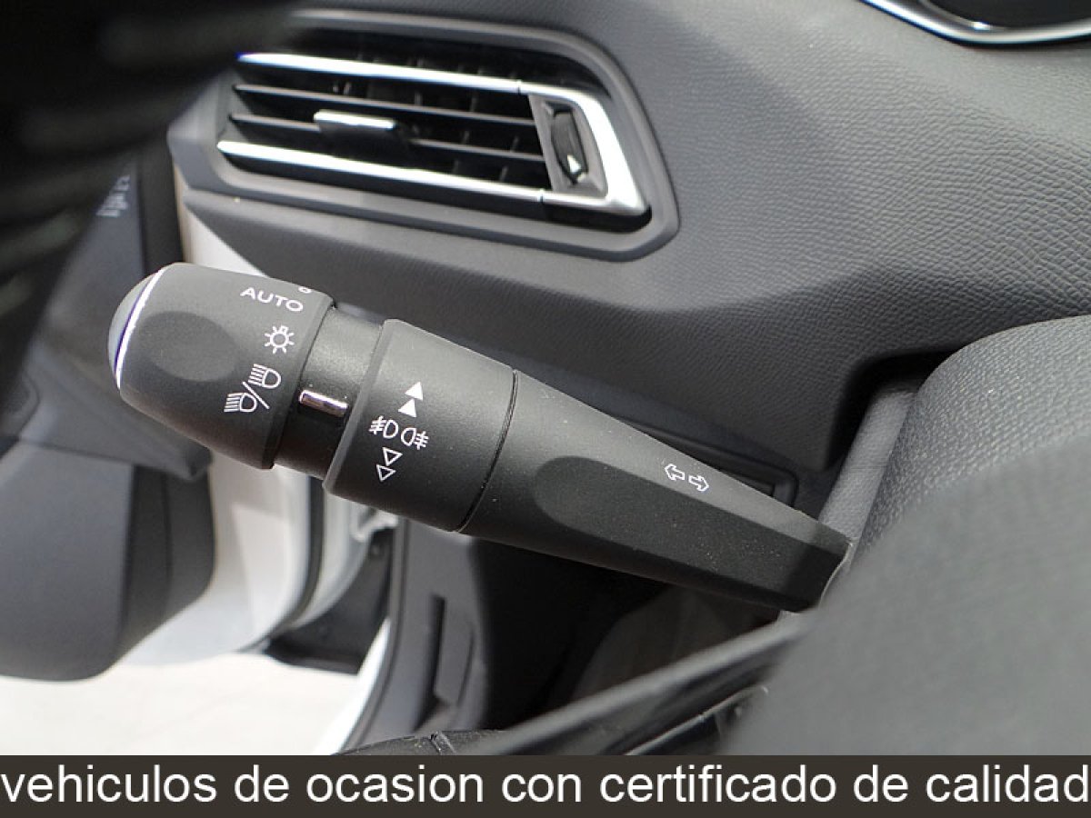 Foto Peugeot 308 29