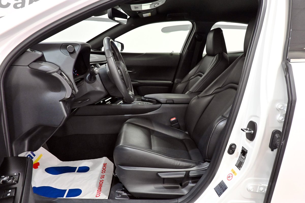 Foto Lexus UX 13