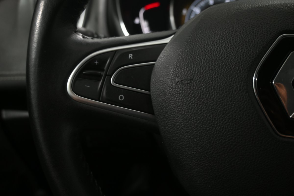 Foto Renault Grand Scenic 22