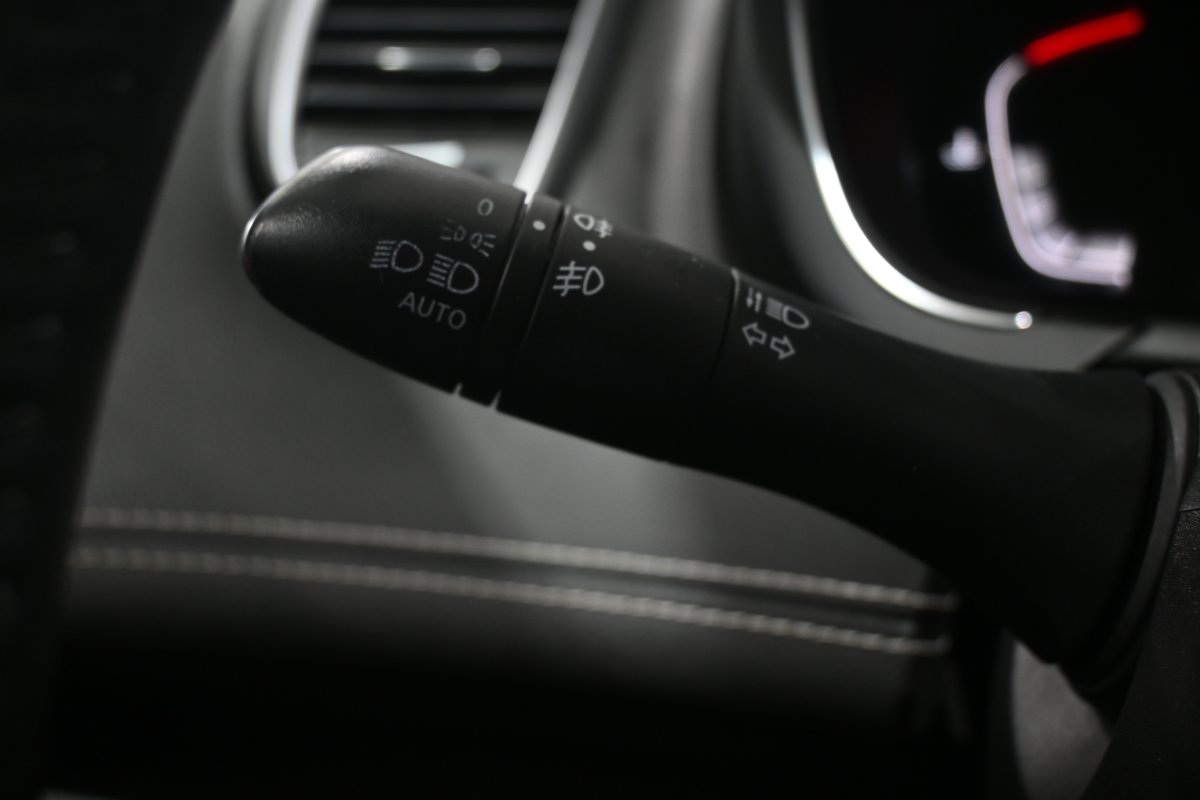 Foto Renault Grand Scenic 24