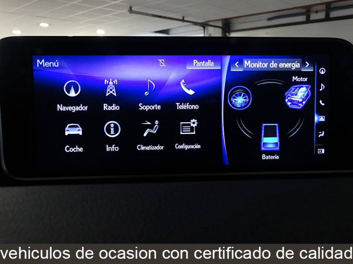 Foto Lexus RX 450h 18