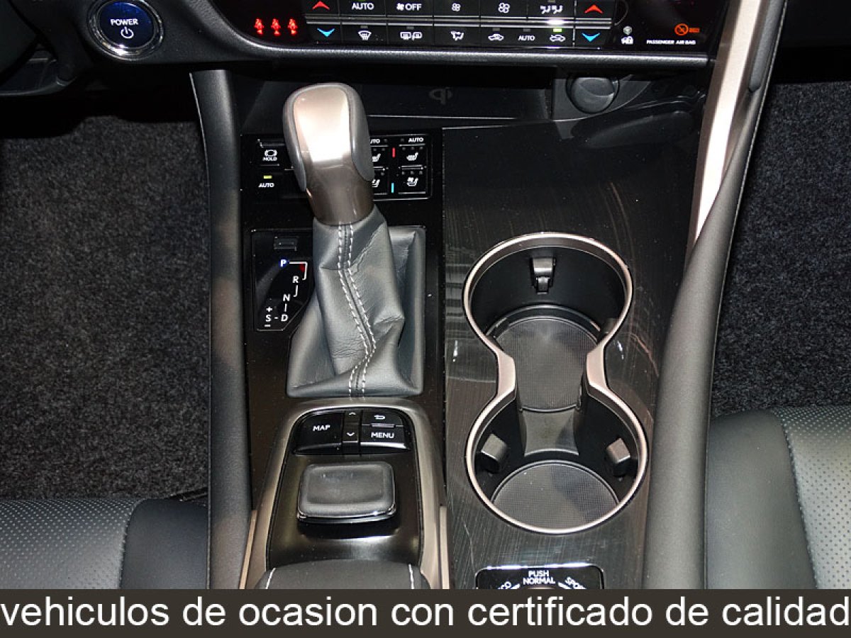 Foto Lexus RX 450h 25