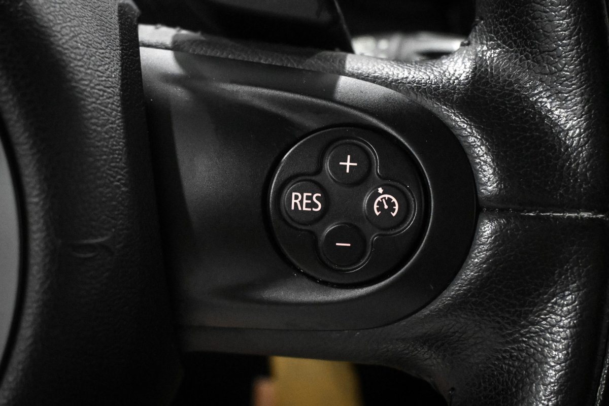 Foto Mini Countryman 29