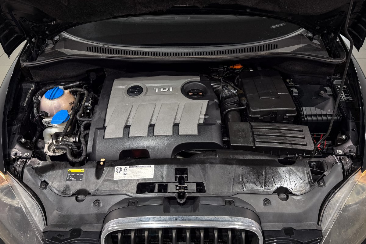 Foto Seat Altea XL 7